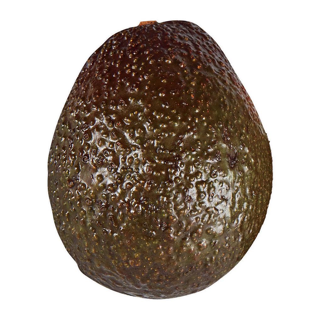 AVOCADOS HASS