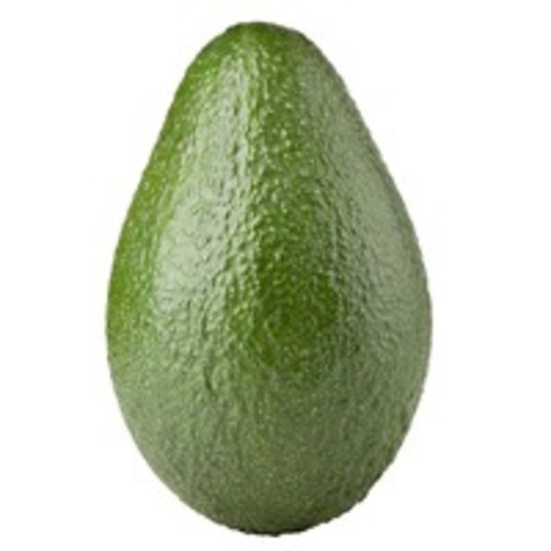 AVOCADOS BIG SIZE FLORIDA