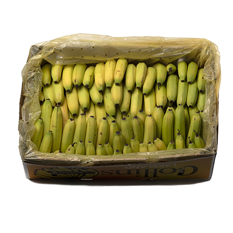 BANANA OPEN BOX