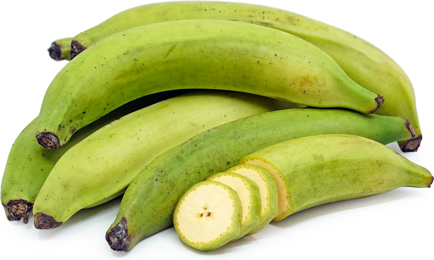 PLANTAIN GREEN