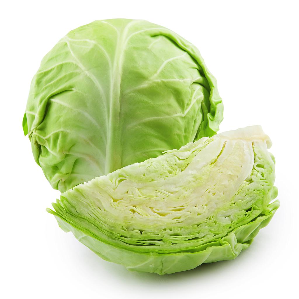 GREEN CABBAGE
