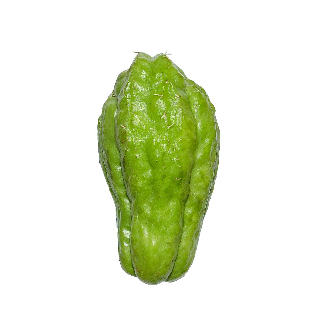 CHAYOTE