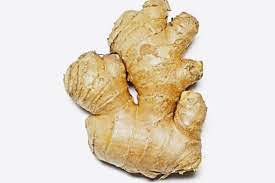 GINGER