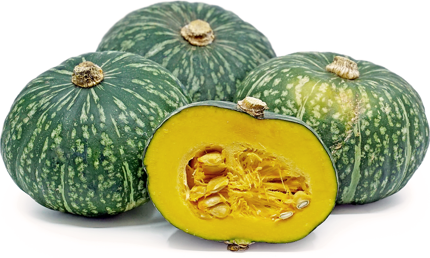 KABOCHA LIFE