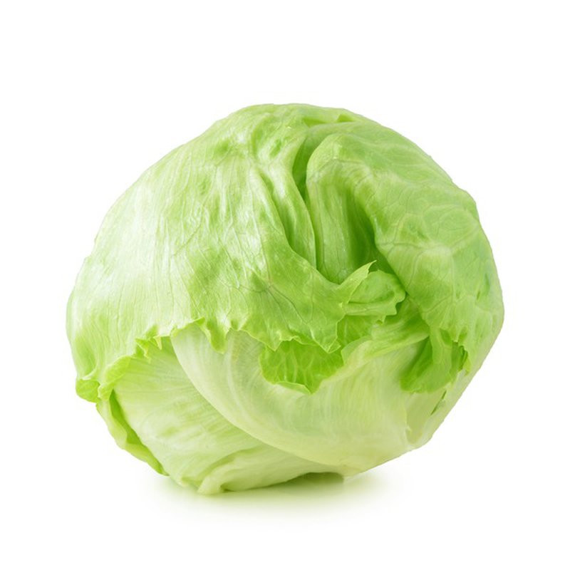 LETTUCE WRAP FOXY