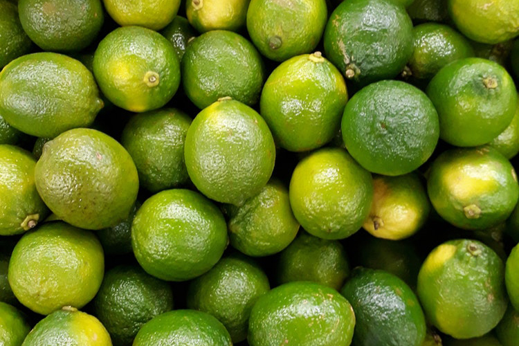 LIMES PERSIAN