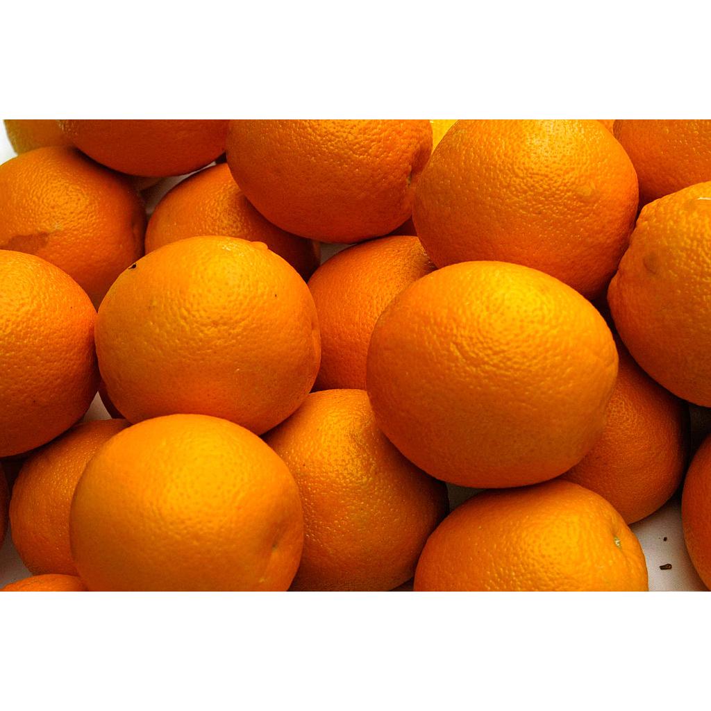ORANGE NAVEL