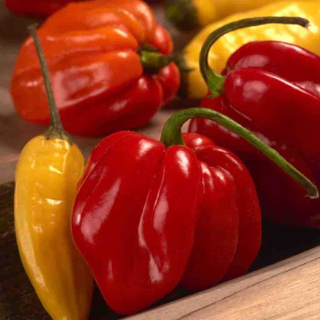 PEPPER HABANERO