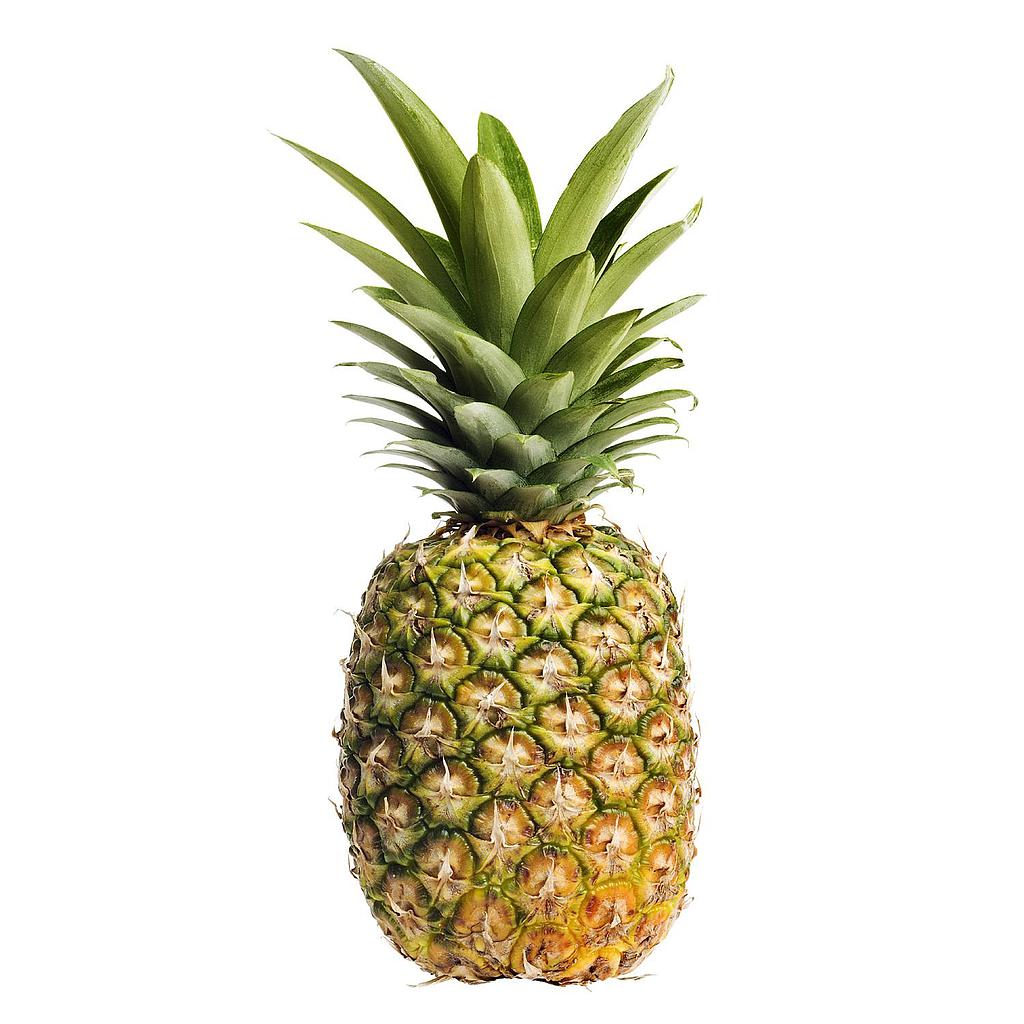 PINEAPPLE GOLD