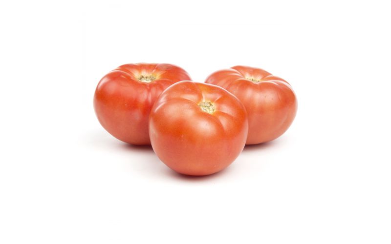 TOMATO 5X6