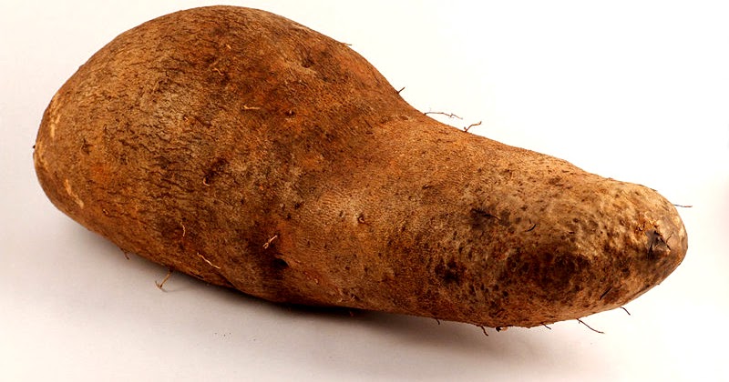 YAM BRAZIL