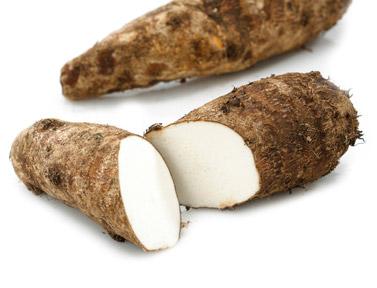 YAUTIA BLANCA