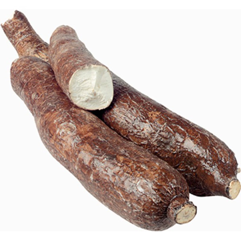YUCCA HAMACA